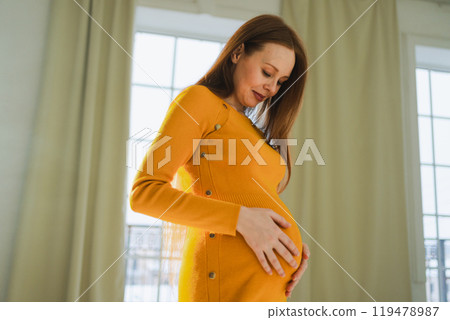 Pregnancy motherhood people expectation future. Pregnant woman with big belly standing near window at home. Girl hugging her tummy enjoying pregnancy. Maternity tenderness parenthood new life concept 119478987