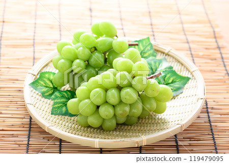 秋味閃耀馬斯喀特 119479095