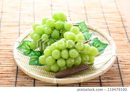 Autumn Taste Shine Muscat Autumn Taste Shine Muscat 119479100
