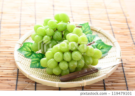 Autumn Taste Shine Muscat 119479101