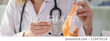 Experienced doctor points pen to artificial model of joint 119479128