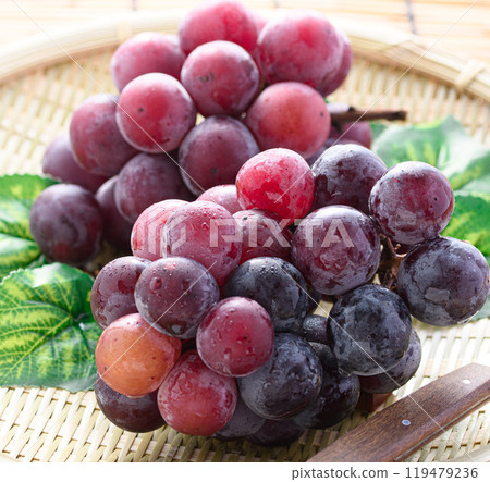 Taste of Autumn: Pione Taste of Autumn: Pione 119479236