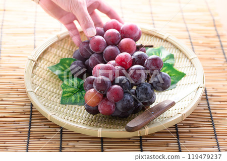 Taste of Autumn: Pione Taste of Autumn: Pione 119479237