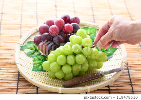 秋季品味：閃耀馬斯喀特和先鋒 119479510