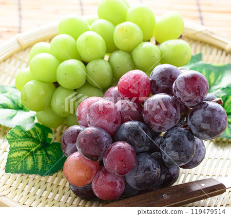 秋季品味:閃耀馬斯喀特和先鋒 秋季品味:閃耀馬斯喀特和先鋒 119479514