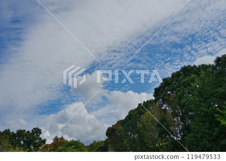 Autumn scenery: Scale clouds and cumulonimbus clouds Autumn scenery: Scale clouds and cumulonimbus clouds 119479533
