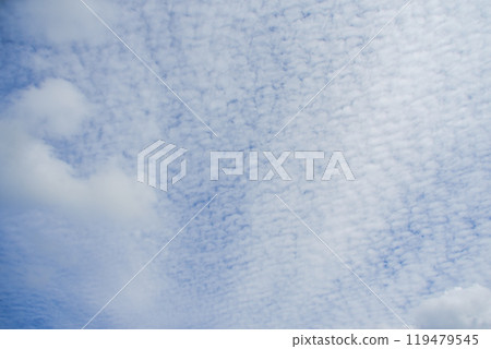 秋天的天空鱗片狀雲 秋天的天空鱗片狀雲 119479545