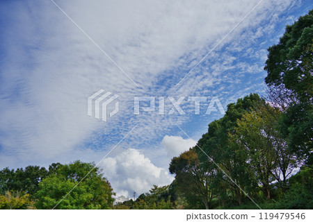秋天的風景鱗狀雲和雷雨雲 秋天的風景鱗狀雲和雷雨雲 119479546