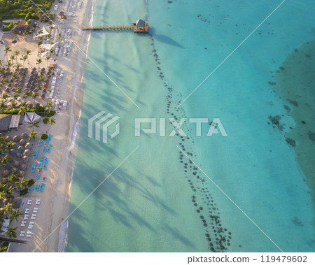 Crystal clear sea with beautiful beach in Bayahibe 119479602
