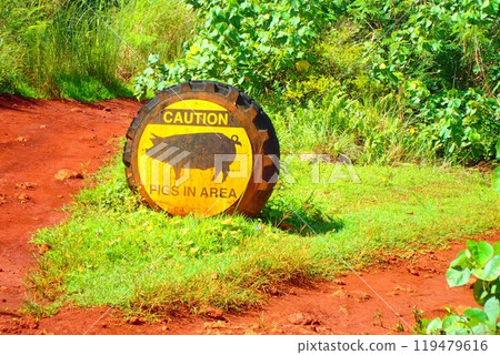 豬的注意事項 119479616