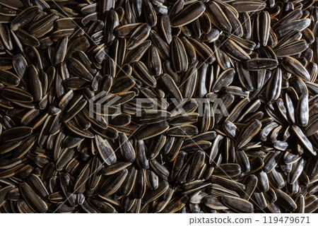 Non Salty Roasted Sunflower Seeds in Shell 119479671