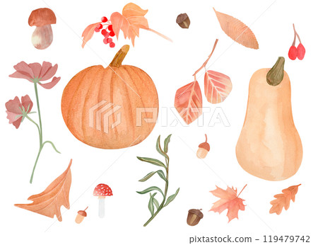 Trees leaves, pumpkin, mushrooms and flower. Set watercolor hand-painted fall botanical illustration set isolated from the background Use for posters, postcards, prints Trees leaves, pumpkin, mushrooms and flower. Set watercolor hand-painted fall botanical illustration set isolated from the background Use for posters, postcards, prints 119479742