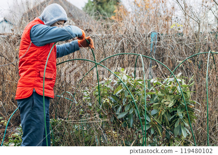 Winter Protection for Garden, winter shelter for garden plants, shelter rhododendrons 119480102