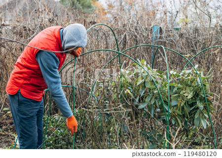 Winter Protection for Garden, winter shelter for garden plants, shelter rhododendrons Winter Protection for Garden, winter shelter for garden plants, shelter rhododendrons 119480120