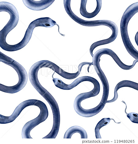 Seamless pattern of watercolor dark blue wavy snakes isolated on white. Witchcraft repeated texture of serpent hand drawn. Animal mystical monochrome print for gothic designs, textile, wallpapers. Seamless pattern of watercolor dark blue wavy snakes isolated on white. Witchcraft repeated texture of serpent hand drawn. Animal mystical monochrome print for gothic designs, textile, wallpapers. 119480265
