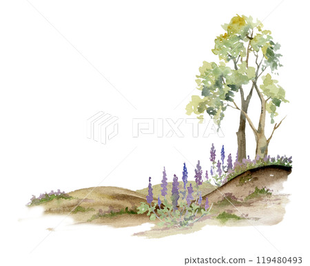 Scenery landscape of lush green foliage tree, northern forest meadow hills with bushes lupin flowers, watercolor hand drawn. Illustration for tourism maps, resort ads, hiking camping sites, vacation. Scenery landscape of lush green foliage tree, northern forest meadow hills with bushes lupin flowers, watercolor hand drawn. Illustration for tourism maps, resort ads, hiking camping sites, vacation. 119480493