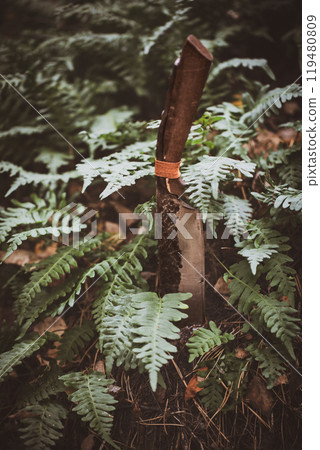Authentic handmade knife stuck in the ground, in a thicket of ferns, vertical format, selective focus. 119480809