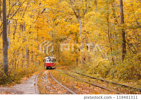 Old red tram moving through yellow autumn deciduous forest, fall landscape, ecological transport Old red tram moving through yellow autumn deciduous forest, fall landscape, ecological transport 119481311