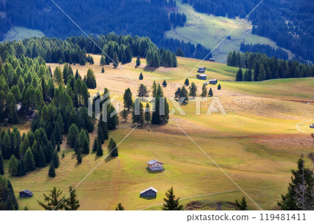 Alpe di Siusi, Italy aerial panorama, Dolomites 119481411