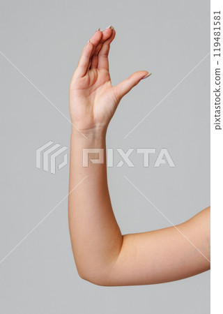 Raised hand against a neutral background in a softly lit setting 119481581