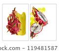 Pitaya slices, bright pink watercolor stain. Hand drawn watercolor illustration of ripe exotic dragon fruit for background, card, design 119481587