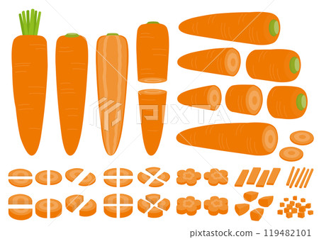 Set of whole and cut carrot illustrations 119482101