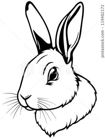 Black Drawing of Rabbit Head Black Drawing of Rabbit Head 119482172