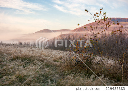 mountain landscape with field and fog in the distance. spooky wonderland of ukraine. countryside scenery in autumn at sunrise. cold november mountain landscape with field and fog in the distance. spooky wonderland of ukraine. countryside scenery in autumn at sunrise. cold november 119482883