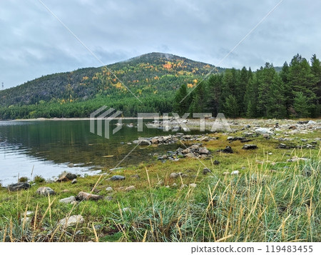 Tranquil autumn landscape by the White Sea in Kandalaksha, showcasing vibrant foliage and serene waters 119483455