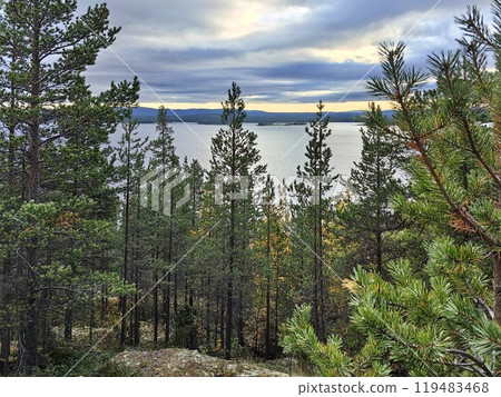 Breathtaking view of the White Sea from the lush forests of Kandalaksha, Murmansk region during the early evening 119483468