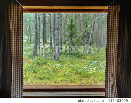 Tranquil view from a cabin window overlooking a serene forest landscape during daytime 119483499