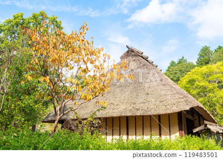 Old folk house in late autumn Old folk house in late autumn 119483501