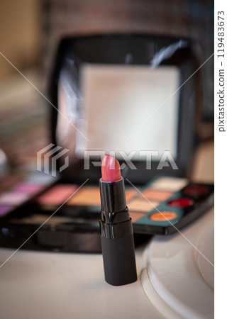 Essential Cosmetics Lipstick and a Makeup Palette for Your Daily Beauty Applications 119483673