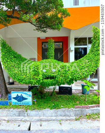 植木蝠鱝 119483807