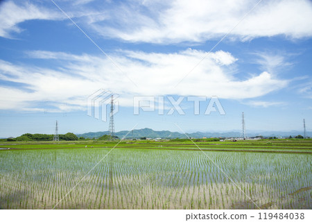 米領域和藍天 米領域和藍天 119484038