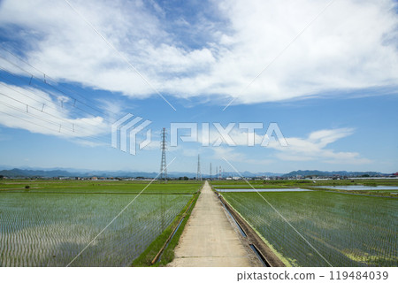 米領域和藍天 米領域和藍天 119484039