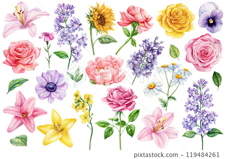 Botanical watercolor flower set, hand-drawn blooms roses, lilacs, daisies, lilies isolated, summer floral design clipart Botanical watercolor flower set, hand-drawn blooms roses, lilacs, daisies, lilies isolated, summer floral design clipart 119484261