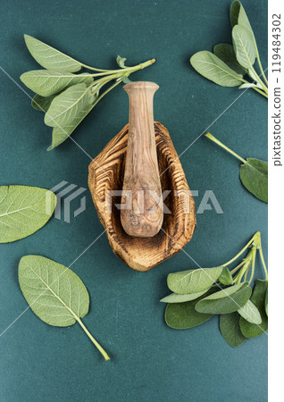 Fresh organic sage, natural remedy. Fresh organic sage, natural remedy. 119484302