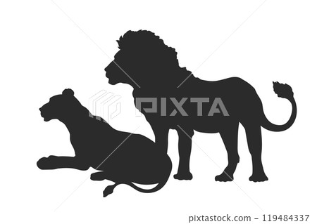 Lion couple silhouette. Isolated scene with african predators. Animal family portrait. Wildlife black drawing Lion couple silhouette. Isolated scene with african predators. Animal family portrait. Wildlife black drawing 119484337
