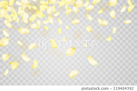Transparent panoramic horizontal background.Amber flower spring template. 119484392