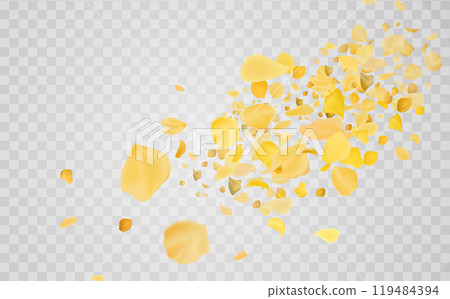Transparent panoramic horizontal background.Amber flower spring template. 119484394