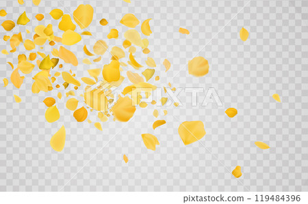 Transparent panoramic horizontal background.Amber flower spring template. 119484396