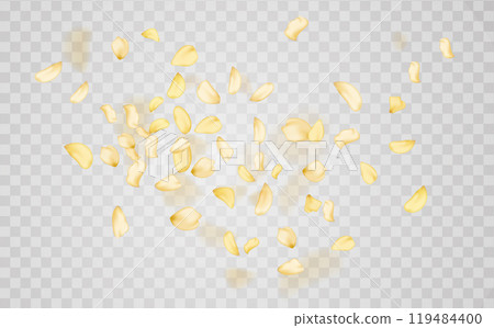 Transparent panoramic horizontal background.Amber flower spring template. 119484400