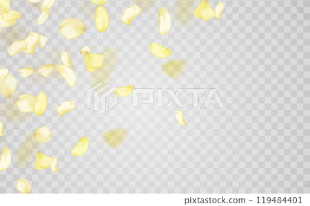 Transparent panoramic horizontal background.Amber flower spring template. Transparent panoramic horizontal background.Amber flower spring template. 119484401