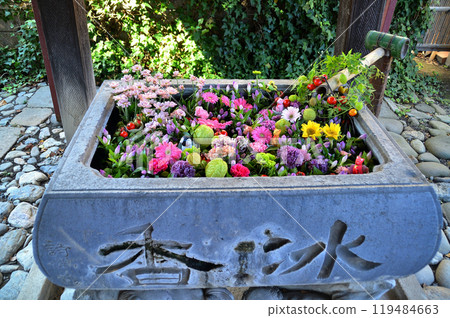 A power spot in Shinmachi, Takasaki City, Gunma Prefecture: Flower water fountain at Okiku Inari Shrine 119484663