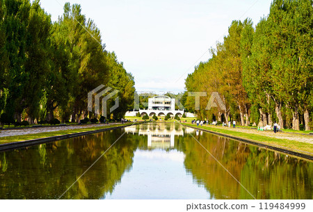 手稻森林公園運河中映照的成排樹木 手稻森林公園運河中映照的成排樹木 119484999