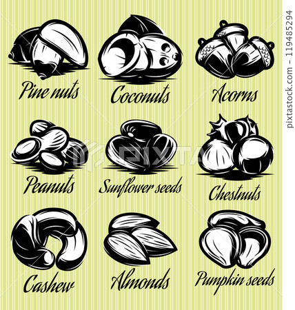set symbols patterns of different seeds, nuts, fruits 119485294