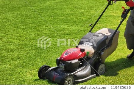 Clean the lawn at the park with a lawnmower Clean the lawn at the park with a lawnmower 119485626