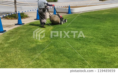 Maintenance of lawn in park 119485659