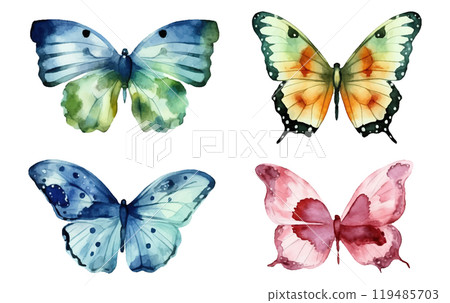 watercolor set vector illustration of tropical butterfly isolated on white background 119485703